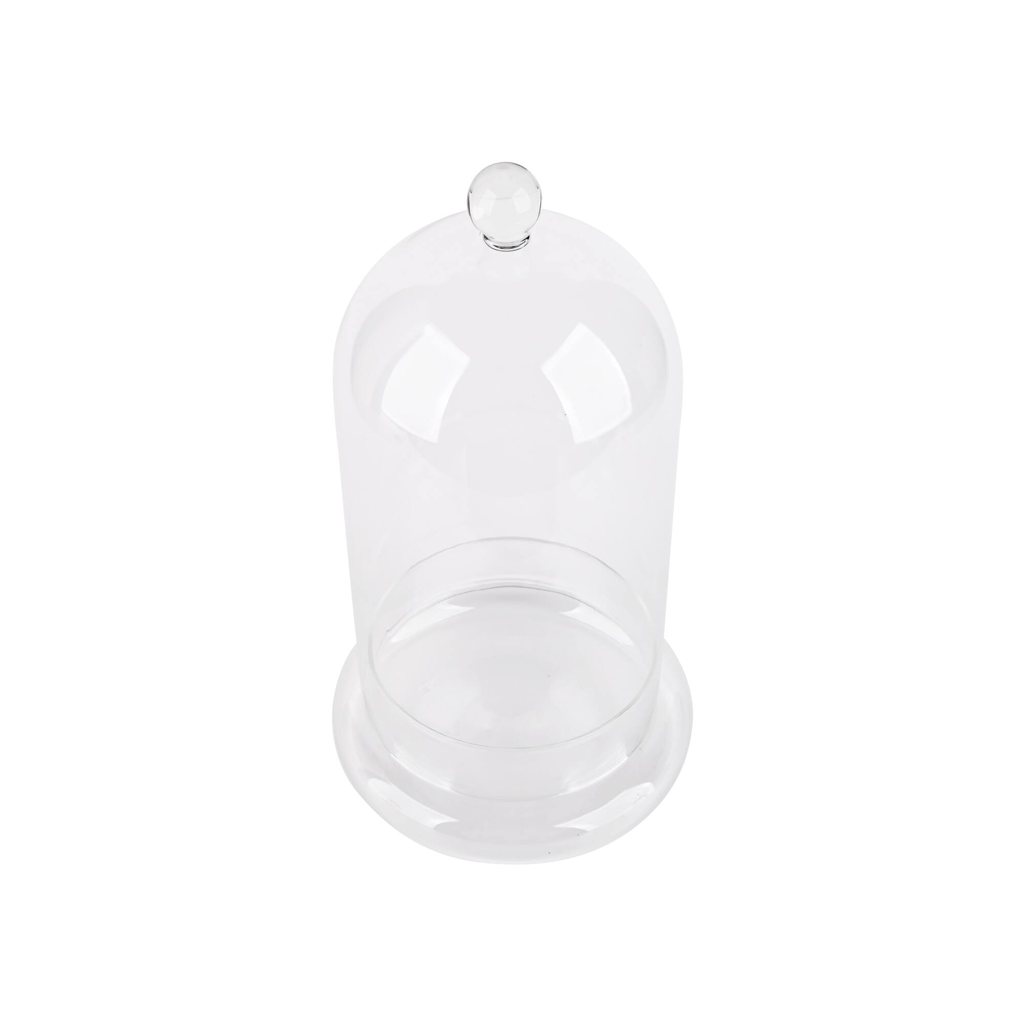 Large Glass Cloche with Base by Ashland®